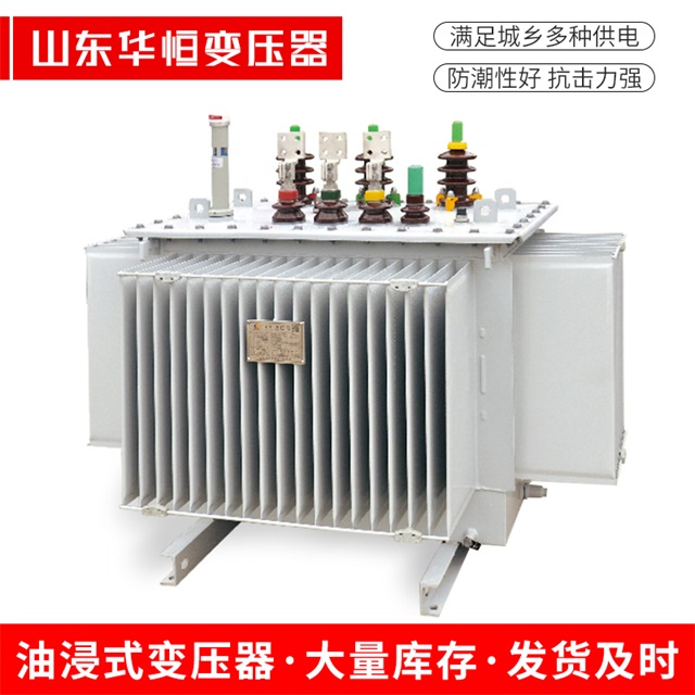S13-10000/35新平新平新平电力变压器