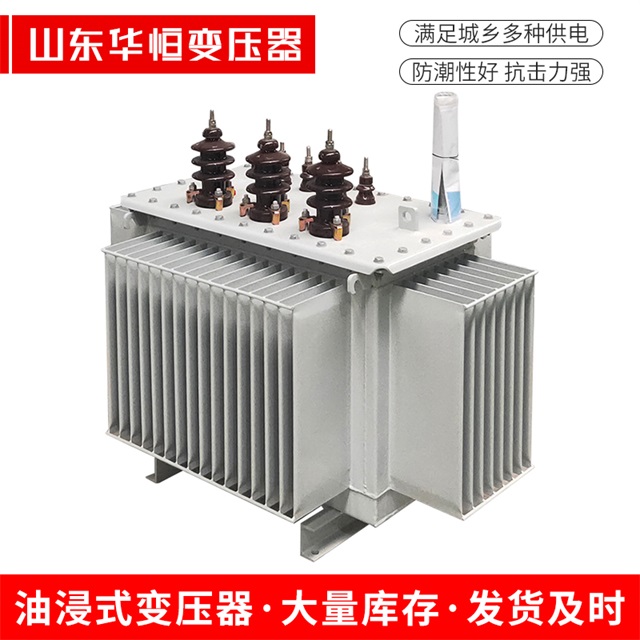 S13-10000/35新平新平新平油浸式变压器厂家